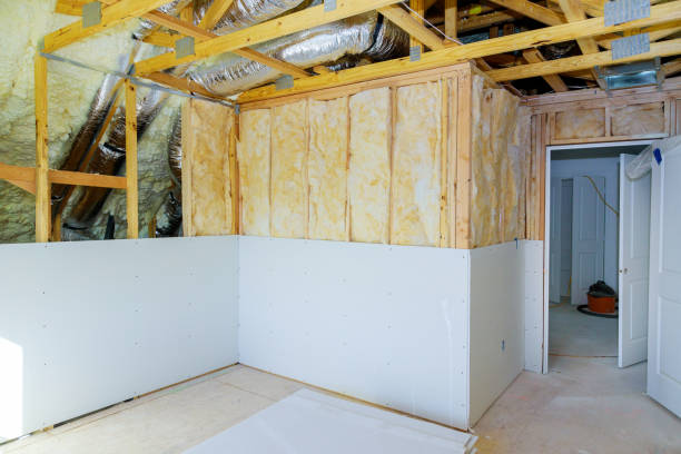 Best Insulation Maintenance and Repair in Orangeburg, SC