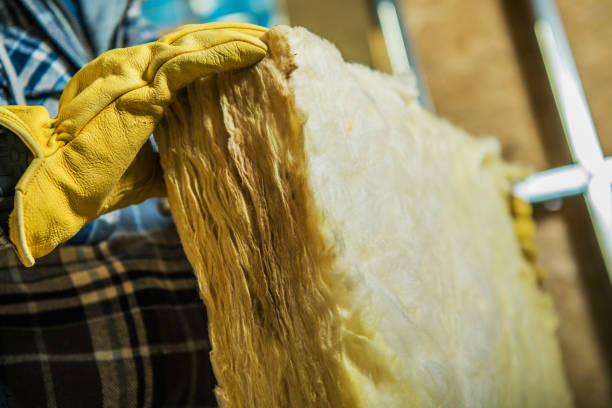 Best Residential Insulation in Orangeburg, SC